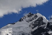 86 Il dominante Piz Bernina (4050 m) 